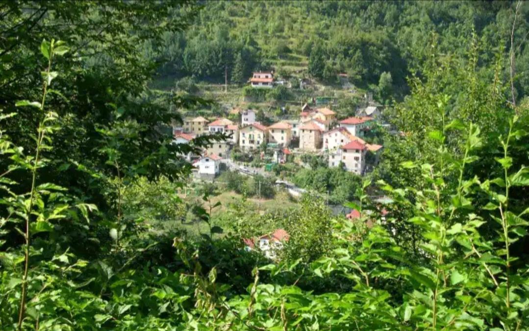 Villa Il Non Ti Scordar Di Me Valbravenna Exterior foto